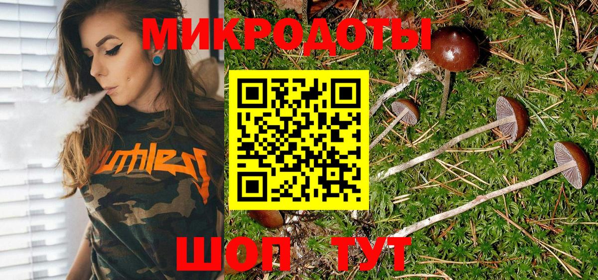 Галлюциногенные грибы Cubensis Кинель